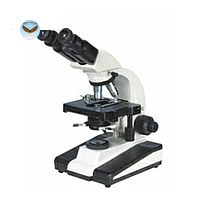 Kính hiển vi sinh học HINOTEK XSZ-138 (4X-100X)